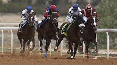 COVID-19: Kano High Court Orders Kano Turf Club, Northern States Turf Club to Stop Horse Racing Event