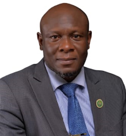 ‘LNRBDA constructs dams to provide food security in Nigeria’ – MD