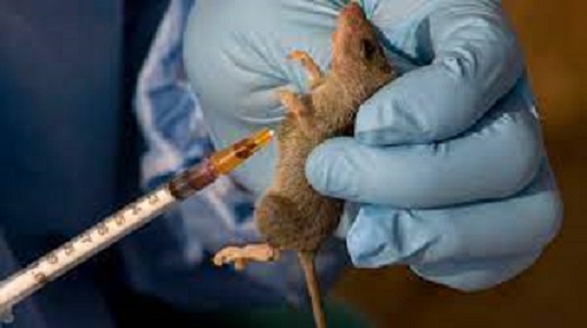IAEA offers assistance in using Nuclear Science to address Monkeypox, Lassa Fever outbreaks