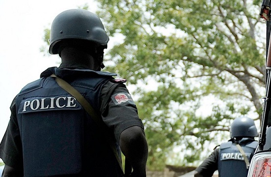 Police, Ogun man, alleged sex, own daughter