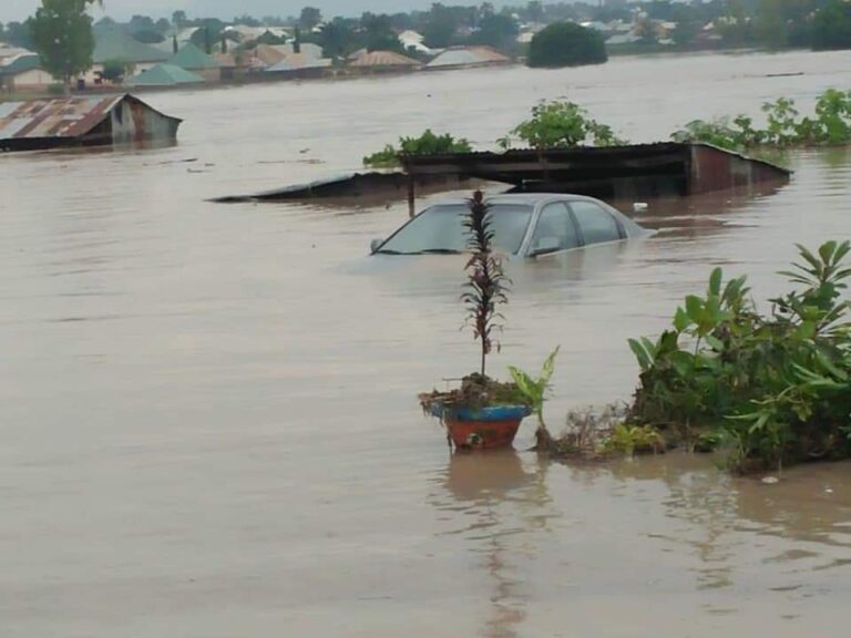 Floods displace 1.4 million, injures 2776, kills 612 in Nigeria as FG shares relief materials to 21 states