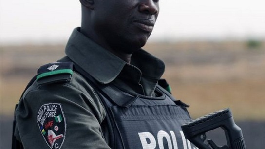 Nigeria Police, Ondo man, sets ablaze, 5 step-children, denial of sex
