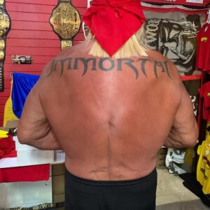 Hulk Hogan, WWE, Kurt Angle, sensation, feeling, back surgery