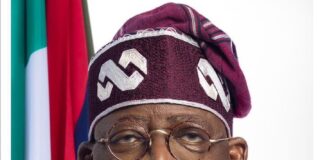 Understanding the Electricity Act just signed into law by President Tinubu Full text of 2023 Democracy Day