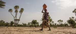 DESERTIFICATION, Experts, Sevastating trend, Reversal, UNCCD