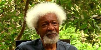 ‘I need nothing from U.S.’, Soyinka says after Trump administration’s visa revocation Professor Wole Soyinka exposed the crimes he committed in the US