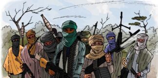 25 ABDUCTED KEBBI COLLEGE GIRLS: Police say search ongoing, as Tinubu orders security agencies to ensure rescue Bandits have been troubling Nigeria