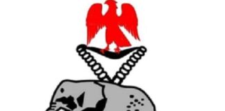 Youths stab fried yam seller to death over N200 in Kano Nigerian Police Force logo