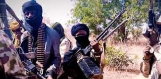Nigeria ranks 4th globally as terrorism deaths surge by 46% — GTI report Terrorists in Nigeria