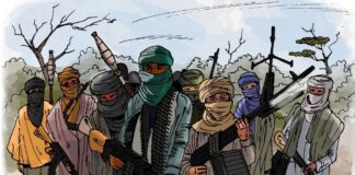 Gunmen storm Kano community, kill herder, rustle 300 cattle Gunmen