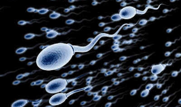 MALE INFERTILITY: Only 25% of men have healthy sperm, experts warn