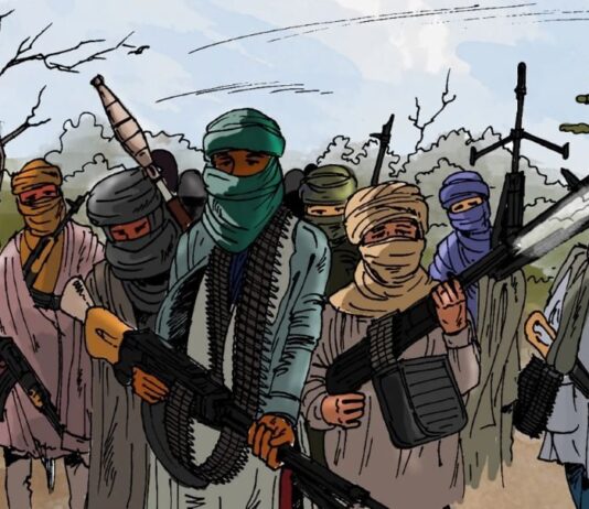 BORNO: Troops foil ISWAP attack, uncover Moroccan doctor, Palestinian trainer Terrorists