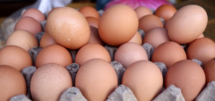 Eggs